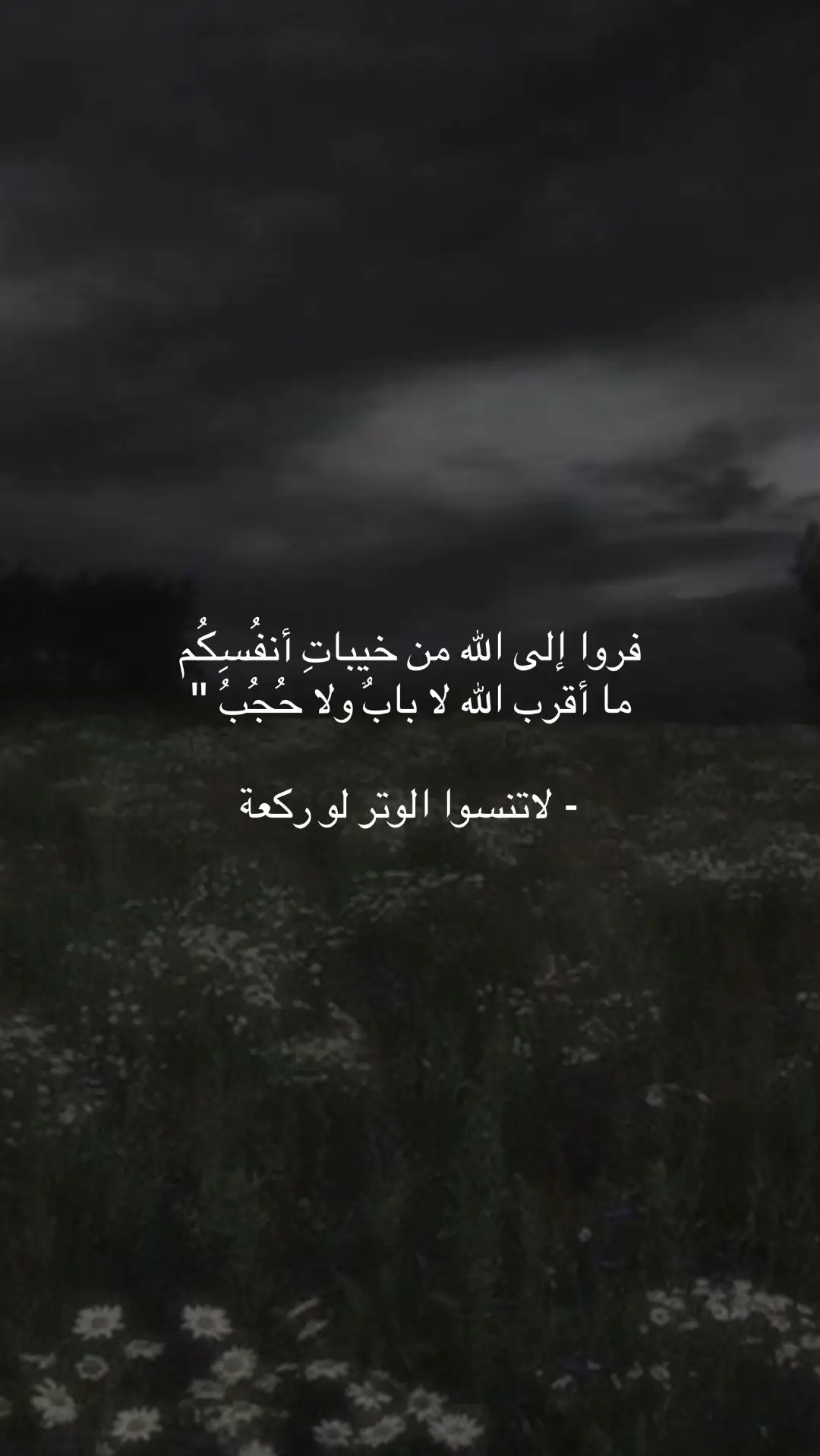 #viralvideo #quran #fipシ #تلاوة_خاشعة 