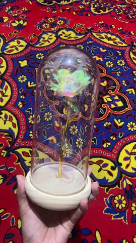 Ganda neto guys #rose #led #product #fyp #fyppppppppppppppppppppppp #fypage 