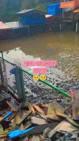 #mina #mukumayo #planta🥺 #triste #lamentable suceso#viral 