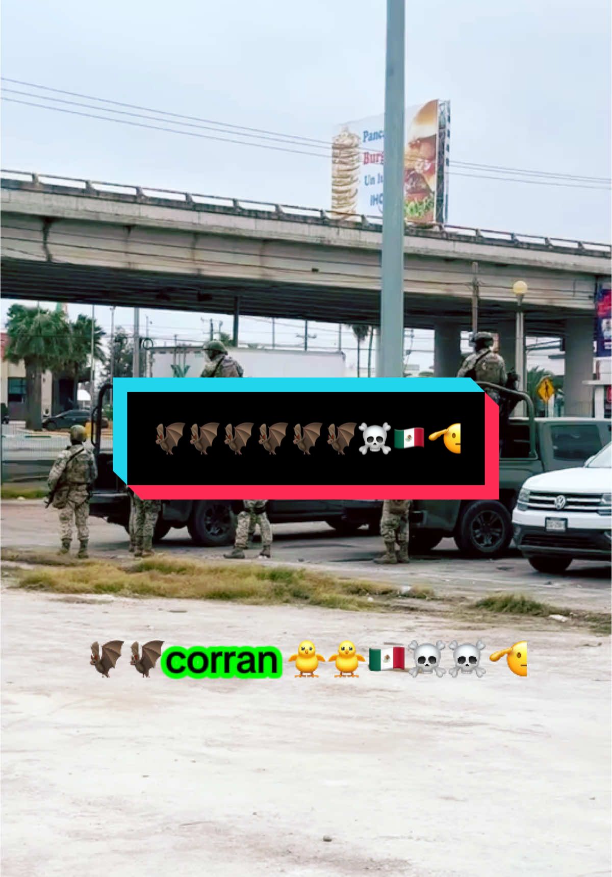 🦇salieron de cacería 🦇☠️🪖🇲🇽🐥🐥 #entrenamiento #sedena #militares_mexicanos #guardianacional #pgr #marines #marinos #fiscalia #policiafederal #policiasmexico #soldados #soldadosmexicanos #militares #gafes #gafesmexico #sedenamx #sedena🇲🇽 #infanteriademarina🇲🇽⚓ #policia #gafesmexico🇲🇽 