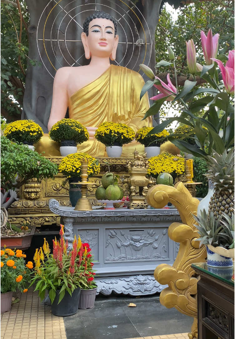Mùng 3 - thanh yên #nammobonsuthichcamauniphat #adidaphat 