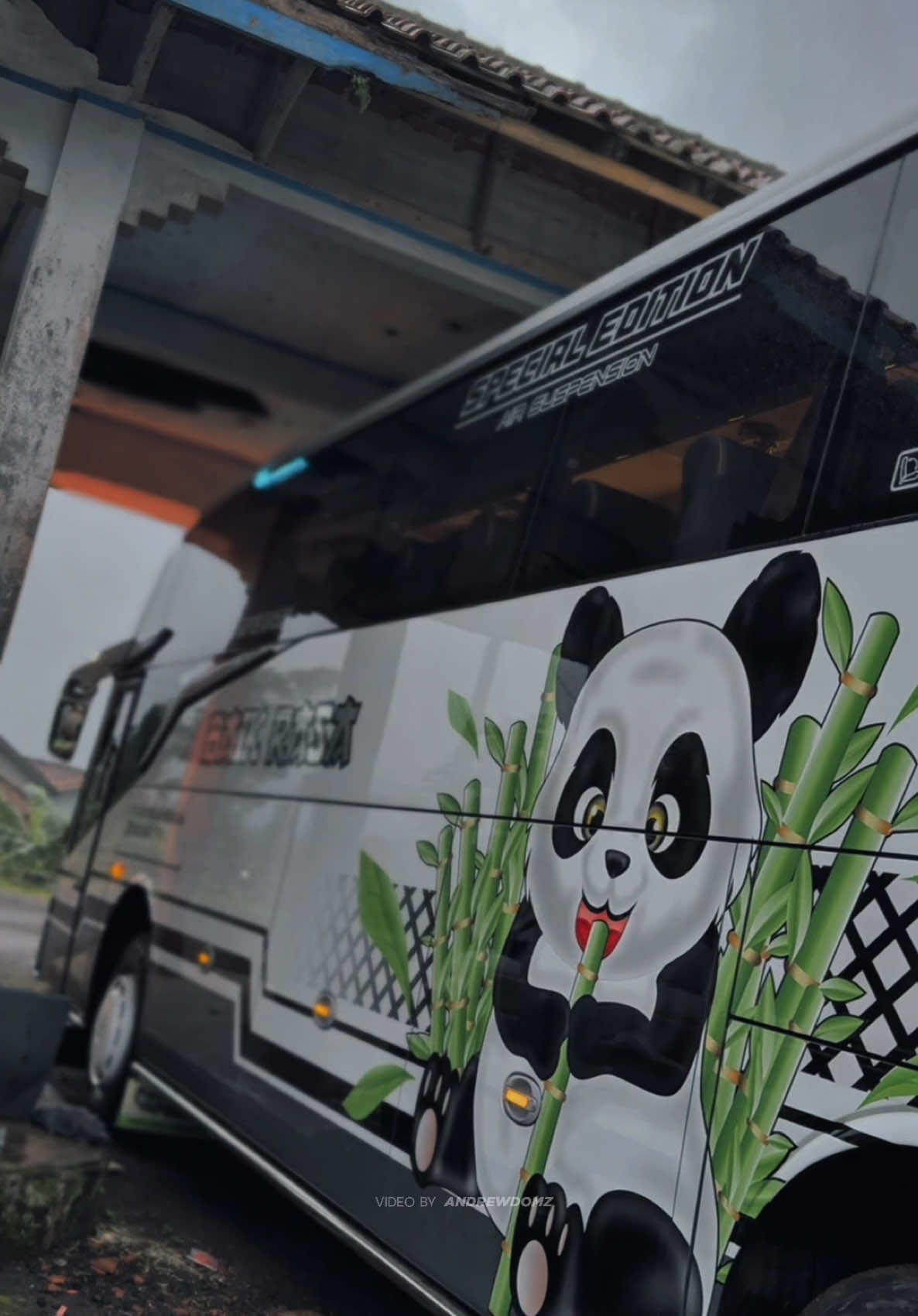 Yang asli ada pandanya🤪 #fyp #fypシ゚ #vidiobus #kisdpanda @agungkidspanda 