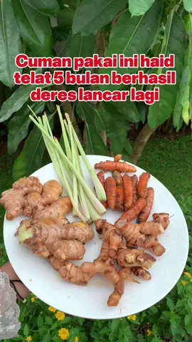 Haid telat 5 bulan berhasil deres lancar #jsr #rimpang #promo #rimpangjsr #haid #promil #paydaysale 