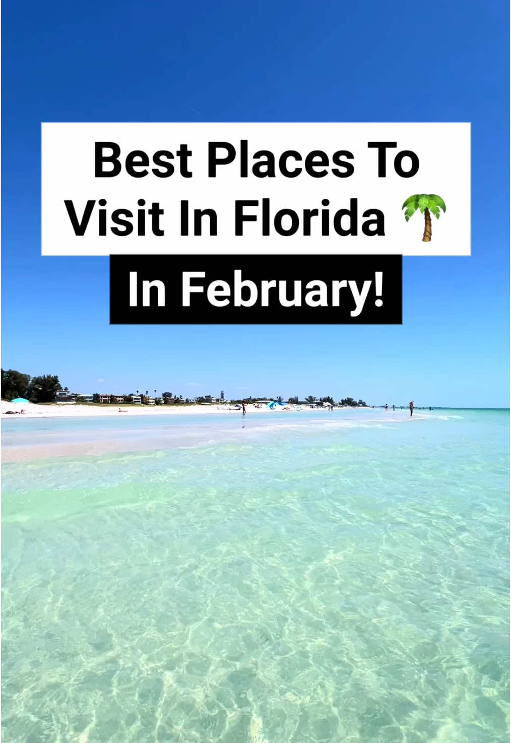 Best places to visit in Florida in February! Here are some of my favorite spots for your Florida list! #floridatravel #floridalife #floridacheck #floridalife #floridakeys #marathonfloridakeys #keywest #floridathings #ameliaisland #mountdora 