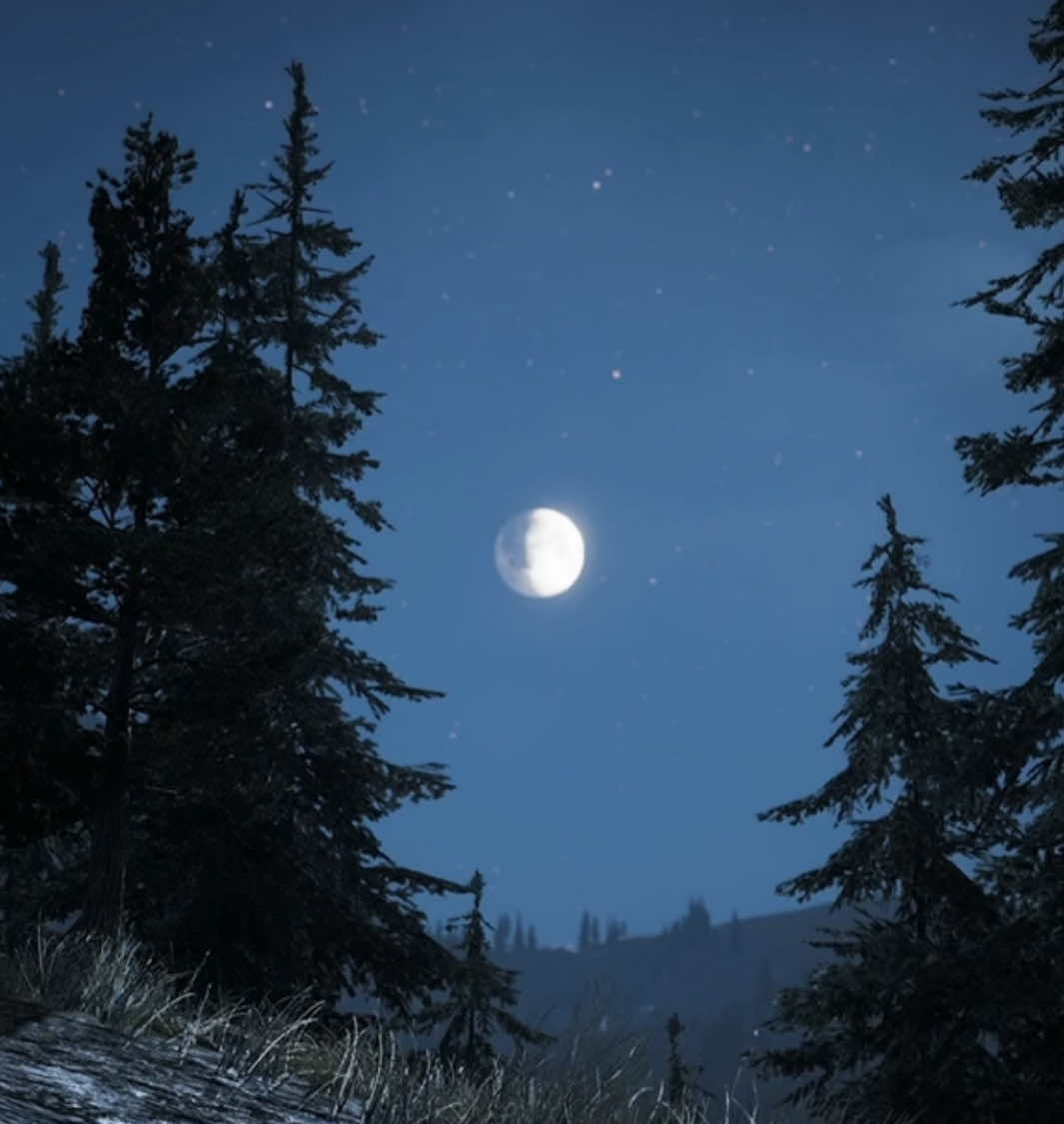 Faith’s region                          #farcry #farcry5 #farcryedit #hopecounty #faithseed #farcry5edit #foryourpage #fyp #foryoupage #edit #fypシ #fypシ゚viral 