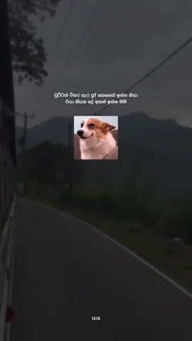 😌#foryou #viral #goviral #fypシ゚viral #sinhalaquotes #foreyou #srilankan_tik_tok🇱🇰 #sajja_quotes #Love #wadan #crush #gf #bf 