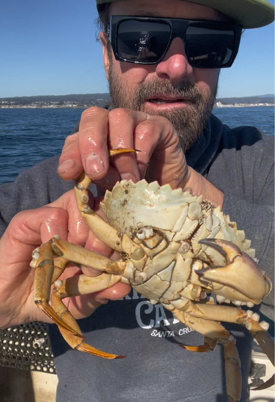 Barnacle Chronicles #asmr #barnaclechronicles 