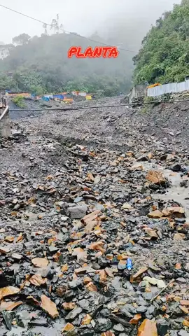 #minamukumayo #planta #ayapata #ituata