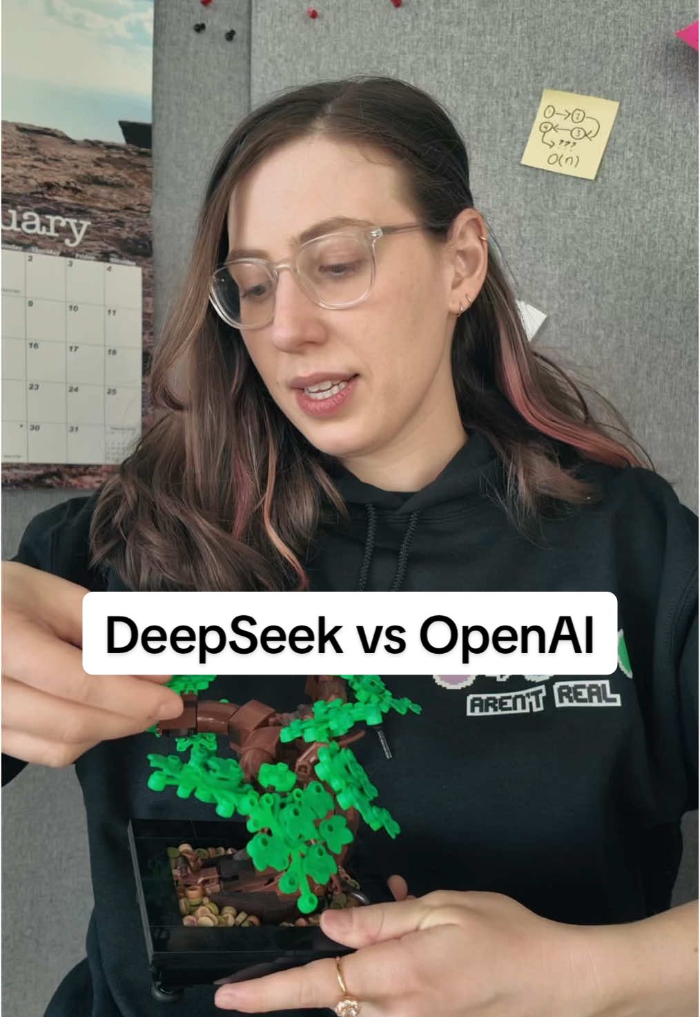 Bro is robbinhood #deepseek #ai 