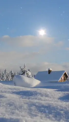 #мем #ржака😂 #юмор #кружки 