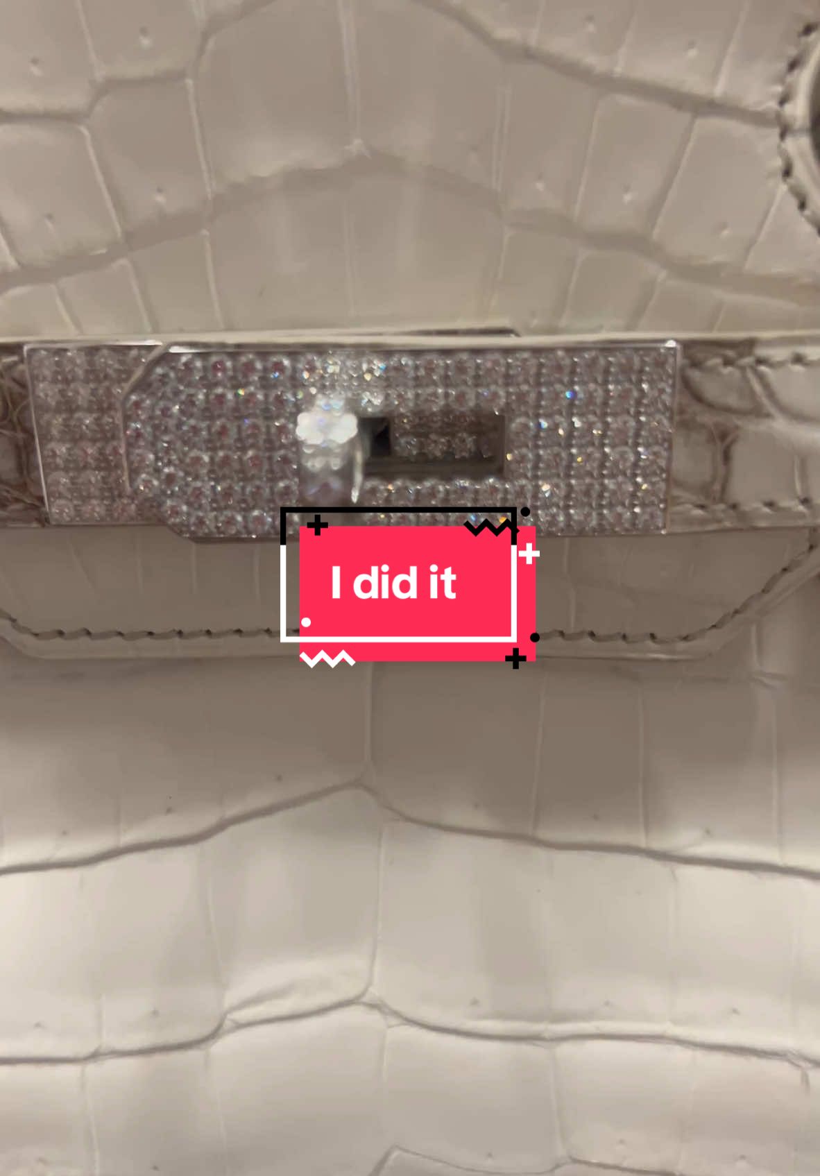 Should I do it? #Birkin #Hermes #HimalayanBirkin #DiamondBirkin 