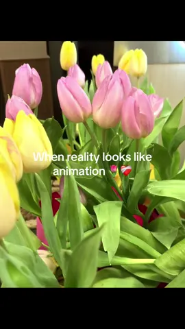 The fact with filter it look like it’s from a movie scene #fypシ 