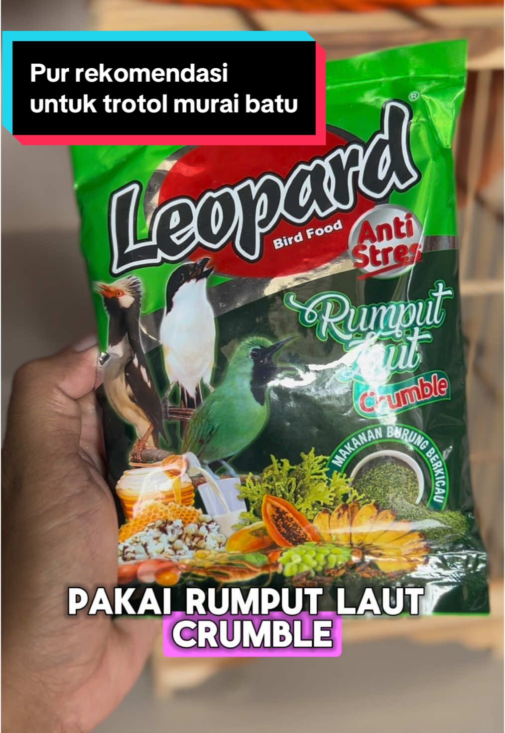 Cara cepat agar trotolan murai batu makan pur, jangan lupa checkout di keranjang ya  #pur #leopard #trotolmurai #makanpur #murai #muraibatu 