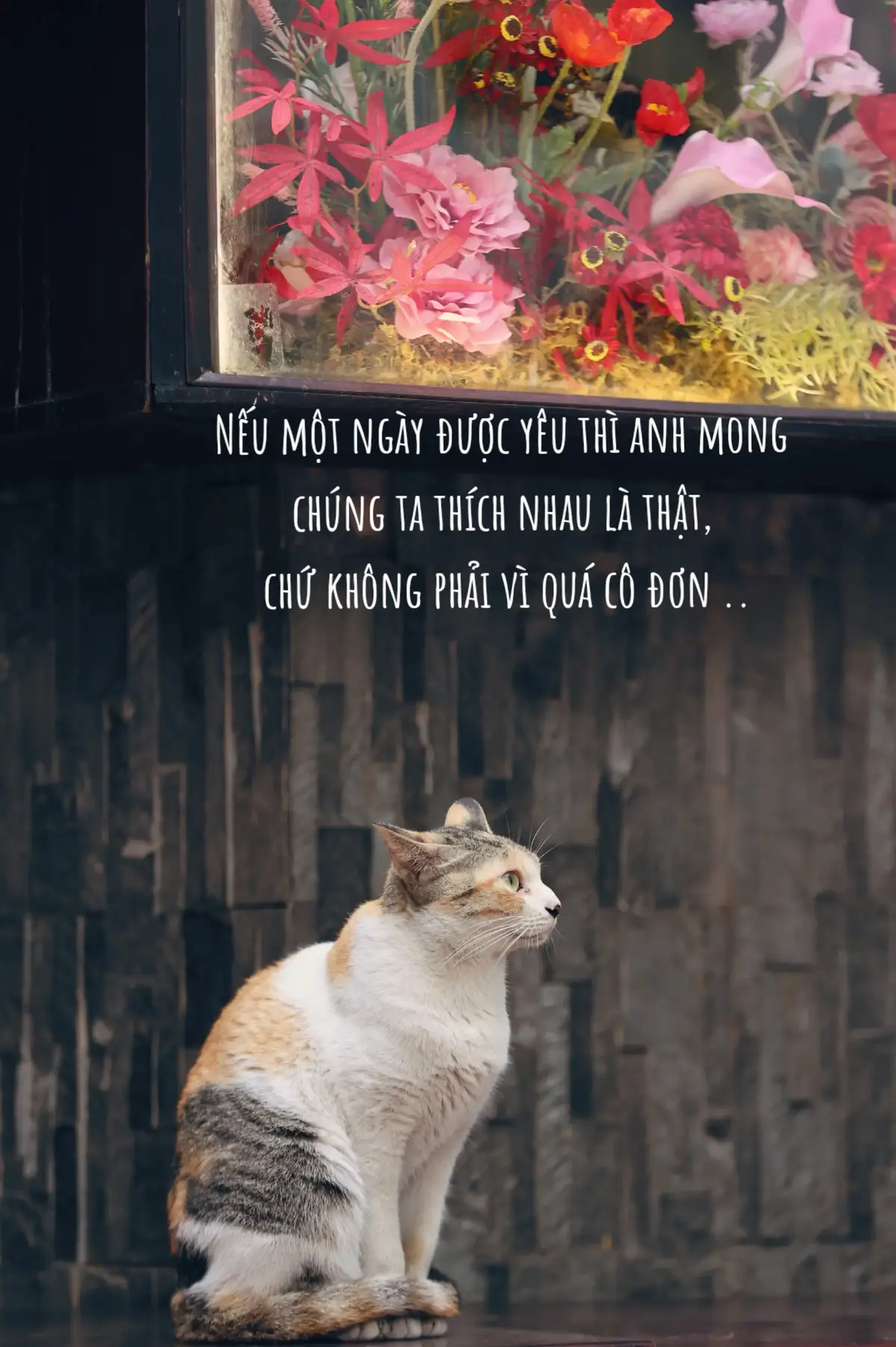 Anh không còn ở độ tuổi yêu đương trải nghiệm nữa... #tinhyeu #xuhuong #vibes #story #memories #Love #tamtrang #fyb #hanoi #foryou 