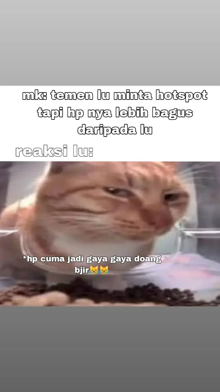 bahan gaya doang bjir 😹😹#pov #mk #foryou #meme 