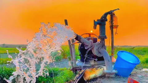 গ্রাম বাংলা সুন্দর্য ❤️‍🩹🙂 #foryoupage #fyp #tiktokbangladesh #bdtiktokofficial🇧🇩 #unfrezzmyaccount #ayansutra928 @TikTok @TikTok Bangladesh 