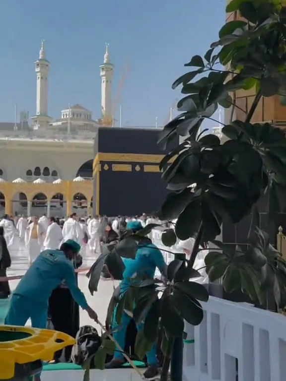 Shana Uchiyan 🥰#viral #aliwrites🌹 #foryou #foryoupage #madina #islamic_video #makkahmadinah🕋  #unfrezzmyaccount 