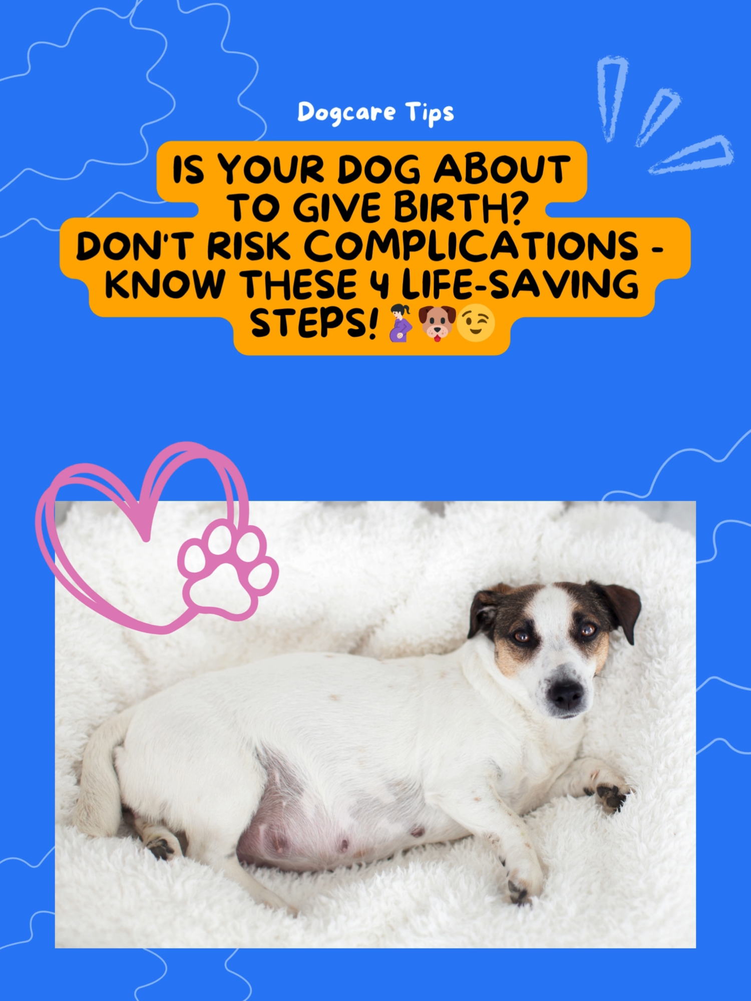 Is your dog about to give birth? Don't risk complications - know these 4 life-saving steps!🤰🏻🐶😉 #dogcare #dogcaretips  #dogpregnancy #doghealthcaretips #dogpregnant