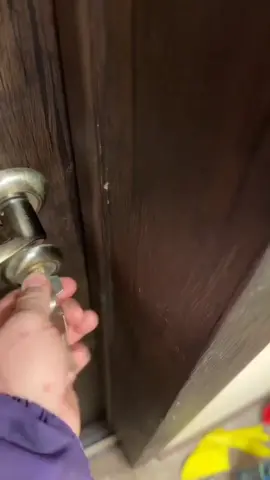 Who Can It Be Now? #tiger in my door! #MenatWork