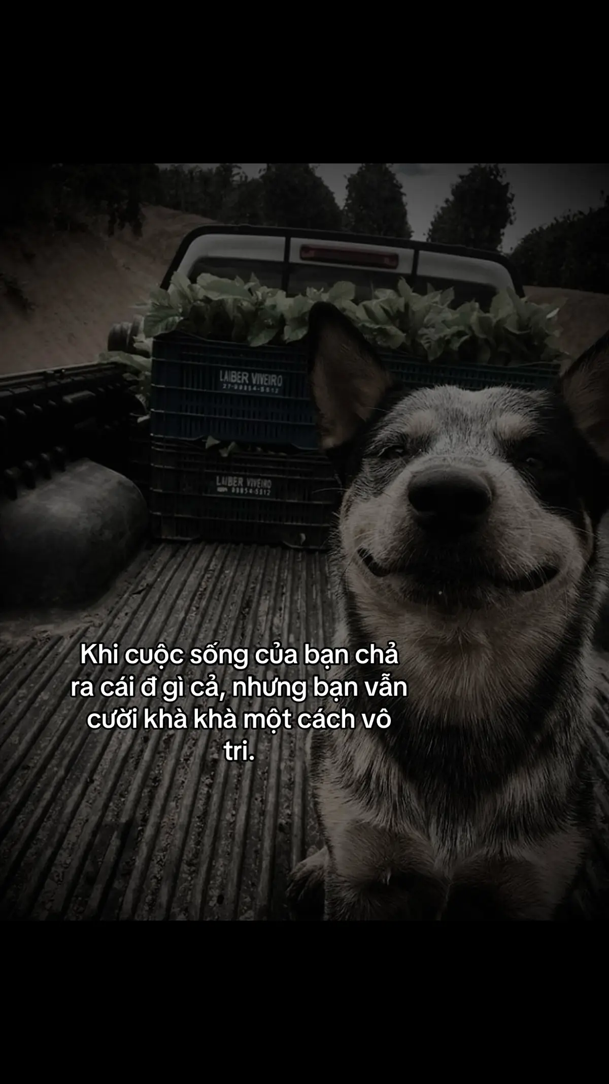 #step024_ #tamtrang #fyp #viral #xuhuong #foryou #tieucuc 