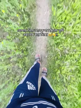 তোমায় নিয়ে অনেক শখ ছিলো তুমি সব শেষ করে দিছো 🥹🥲!!