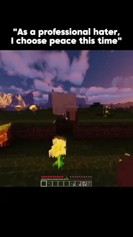 #Minecraft #minecraftmemes - i choose peace this time😊