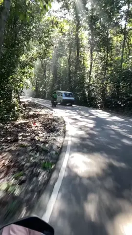 🍃💞 #විල්පිටකැලේ🌱  #කඹුරුපිටිය 