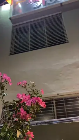 Behhh Gaye Mein❤️‍🔥🫶🏻😅 #song #aestheticvideos #maham_esticx #viral_video #viralditiktok #foryoupagе #song #aestheticvideos #growmyaccount #viewsproblem #1millionviews  #fyppppppppppppppppppppp #viral_video #urdulyrics #nfak #explore 
