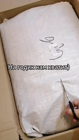 #крыска #крысы #дамбо #юкки #ночка #yukky_nochka #крысадамбо #декоративнаякрыса #крыса 