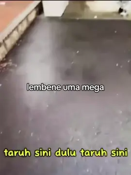 #mamamega #megakenichiro #mega #core #uma #fyp #xyzbca #fyppppppppppppppppppppppp 