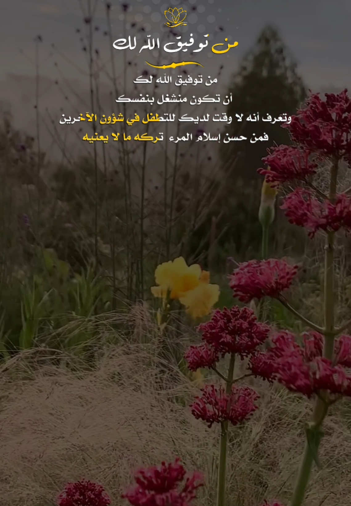 من توفيق الله لك   أن تكون منشغل بنفسك  وتعرف أنه لا وقت لديك للتطفل في شؤون الآخرين  فمن حسن إسلام المرء  تركه ما لا يعنيه