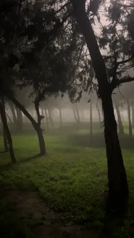سافررر حبيبي وهجر😢+شوفو اخر مقطع نزلته#ضباب #الباحه 