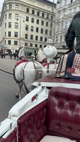 من اروع الانشطة في فيينا  جولة الخيول الكلاسيكية  يمر على اهم المعالم مع شرح لكل معلم  احنا خذينا جولة ساعة جدا جدا انصح جميلة ♥️♥️♥️♥️ #fyp #explore #اكسبلور #vienna #austria #trending #travel 