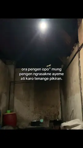 #fyp 