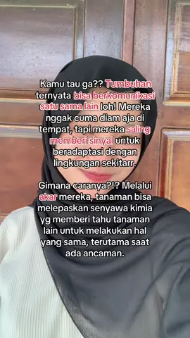 contohnya ketika tanaman terkena serangan hama, mereka bisa mengeluarkan senyawa yang membuat tanaman sekitar menjadi lebih tahan terhadap serangan serupa. 💡 Sumber: Penelitian dari Proceedings of the National Academy of Sciences (PNAS) || hanya berbagi apa yg saya baca✨ #funfact #ilmupengetahuan #faktamenarik #improveyourself #ipa #fotosintesis #komunikasi #kimia #faktadunia #fyp #ipa #tumbuhan #bunga #lingkunganhidup 