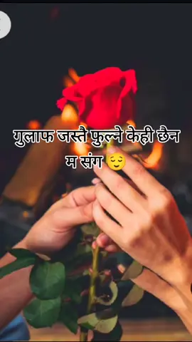 #CapCut #furyou #तिम्रोमेरोअधुरो_प्रेमकाहानि💔😭 #raidipu1💝 #raidipu1💔 #viral_video #तिम्रोमेरोअधुरो_प्रेमकाहानि💔😭 @thevoicekids2023 @broken heart 💔😔 