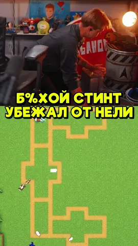Twitch: Stintik #стинт #stint #stintik 