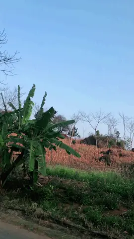 #xunghungtitok 