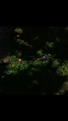 มีคนคิดถึงเธอ🤍 #เธรด #เธรดเพลง #ฟีดดดシ #อย่าปิดการมองเห็น 