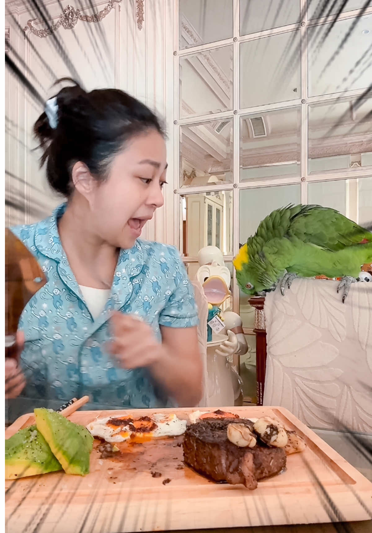 Digigit ampe bolong gak tuh 😱😭 I nyobain carnivore diet, ehhh Sasha malah nyobain kursi 😝.. bener gak sih celtic salt itu sehat guys? 🤔 • • • • • #sasha #talkingparrot #foryou #funny #fyp #fypシ゚ #viral #trending #cute #pet #diet 