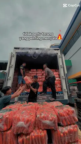 Di Negeri KONOHA Bagaimana Infonya??? 🥕🥕🥕 . #carrot #wortelbrastagi🥕  #pasarindukkramatjati #fyp 