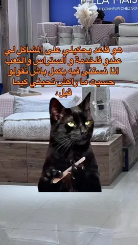 #CapCut #Meme #memenatal 