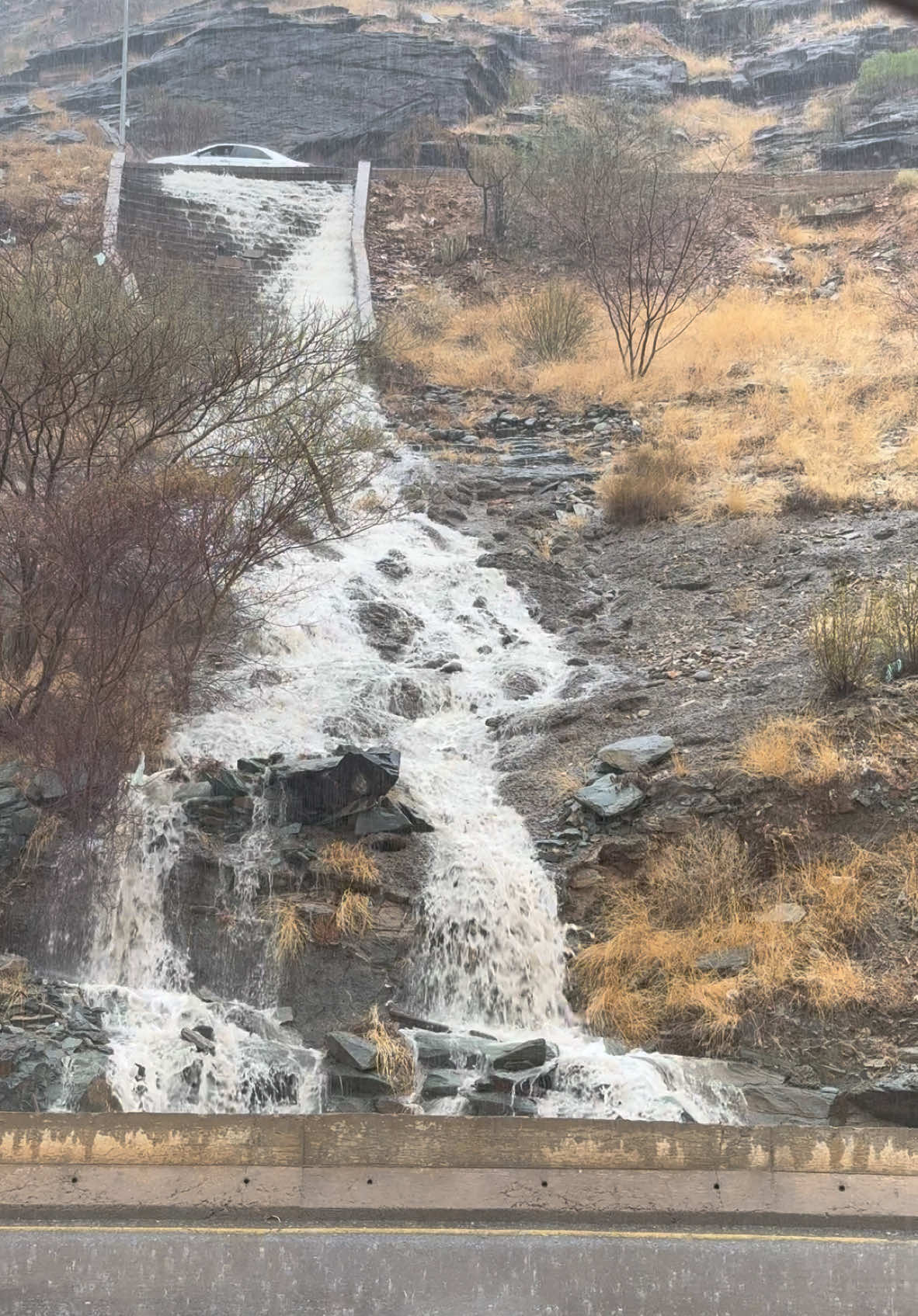 امطار محايل اليوم🥹🌧️🌧️💙#محايل_عسير#اكسبلور #امطار#الجنوب#امطار_محايل_عسير_الان #explore #fypツ 