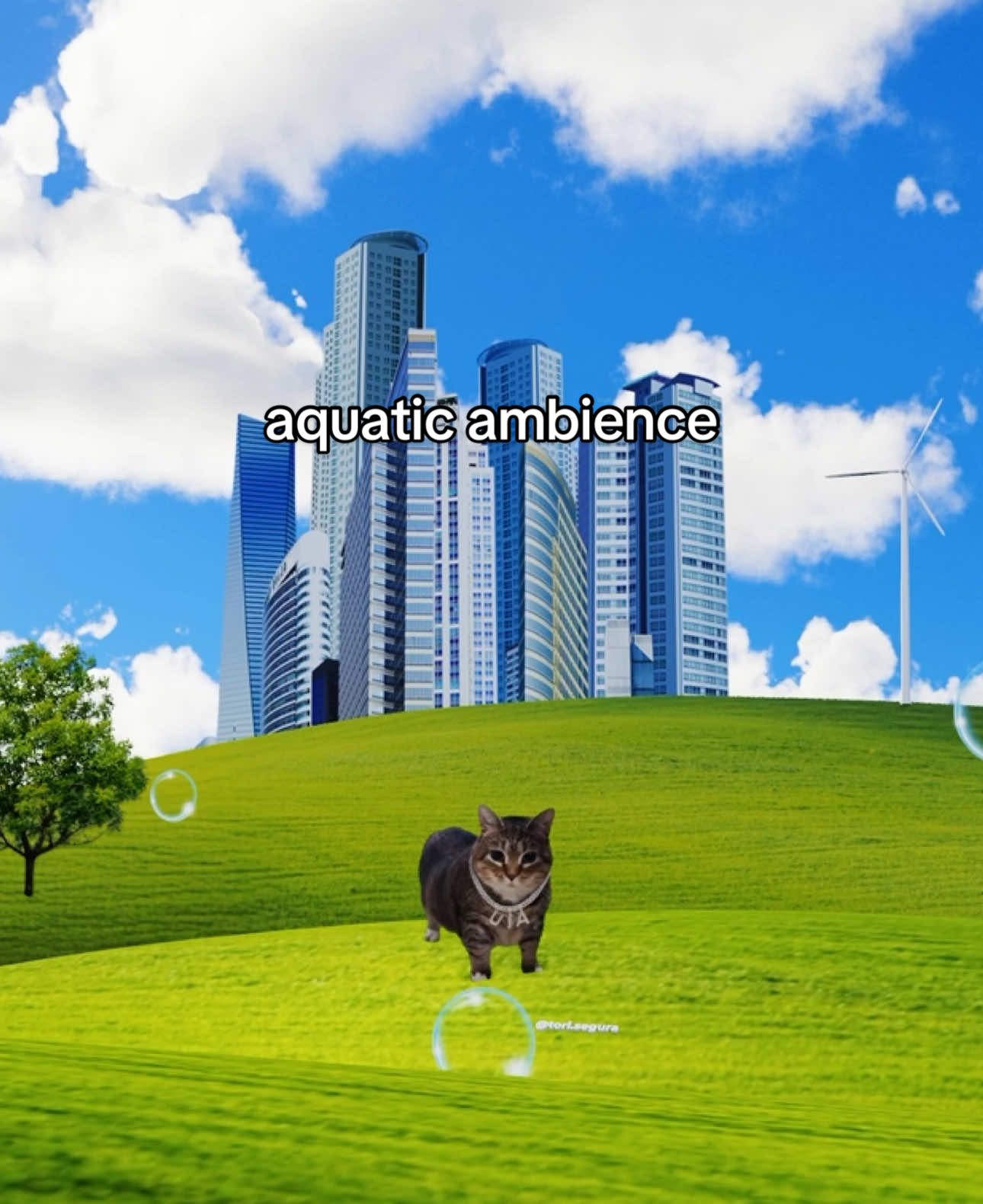 The uia we were promised 🥹 @Ethel the OIIA Cat ✨ OIIA Cat x Aquatic Ambience by Scizzie #cats #lyrics #frutigeraero #nostalgia #foryou #fyp 