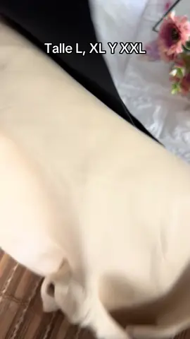 Short faja sin costura, súper resistente, 55.000Gs📲0992778817, hacemos envíos en territorio Paraguayo ✨✨#totallook #comprasonline #tiktokparaguay🇵🇾♥️ #mujeres #lenceriaeconomica #lenceria 