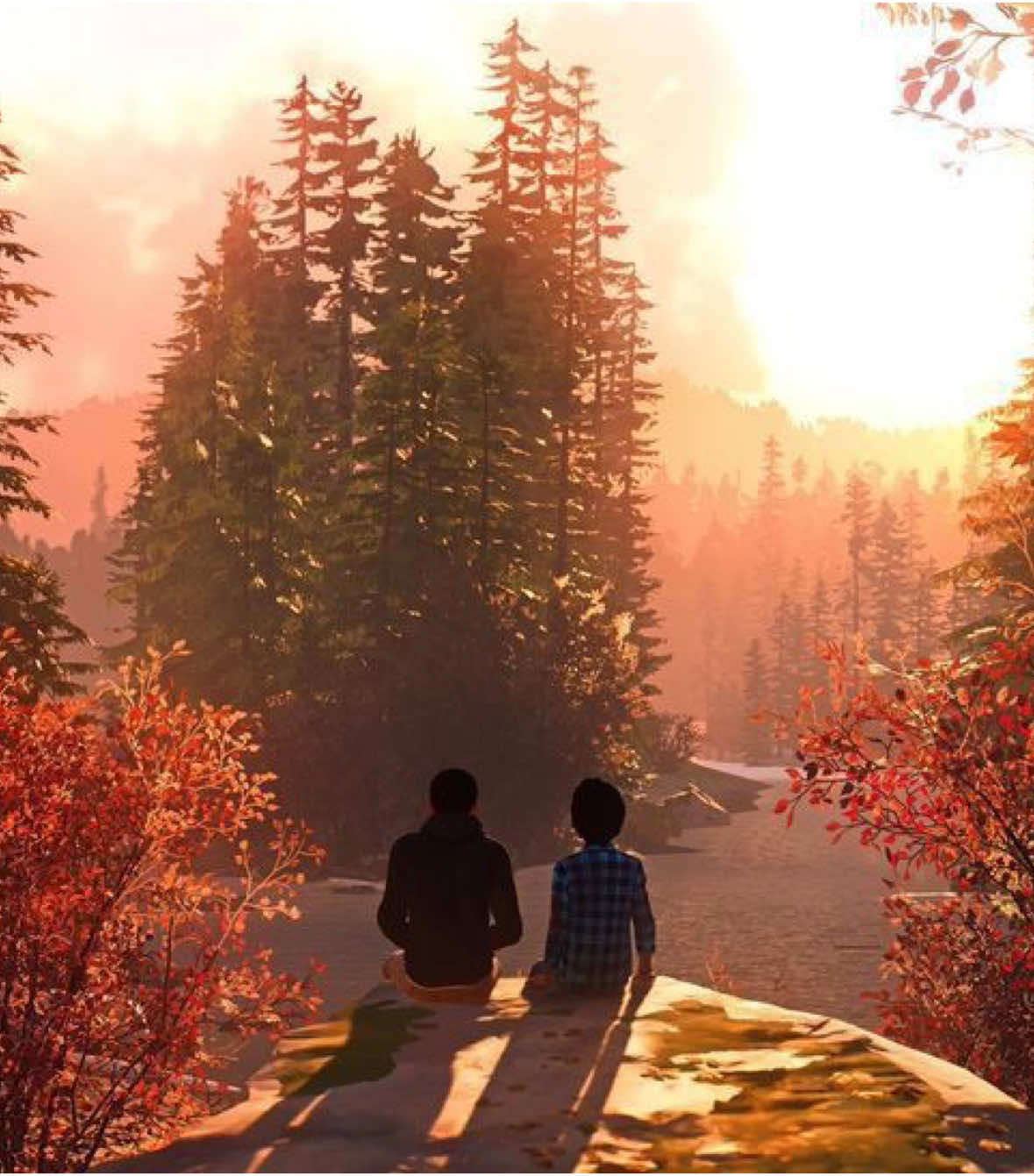 🐺                                                                             #LifeisStrange2 #seandiaz #danieldiaz #lifeisstrange #lis2 #foryoupage #fyp #edit @Life is Strange 