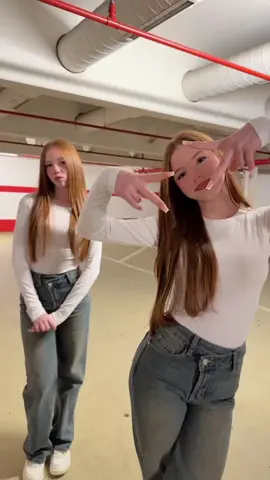 🫶🏻 #twins #funn #trendy #twinsoftiktok #spaß 