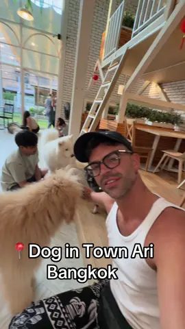 Dog cafe in Bangkok 
