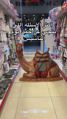 جمل يوم التأسيس 😍🇸🇦👑 #يوم_التأسيس_السعودي #يوم_التأسيس #محل_بالونشينو #جدة 