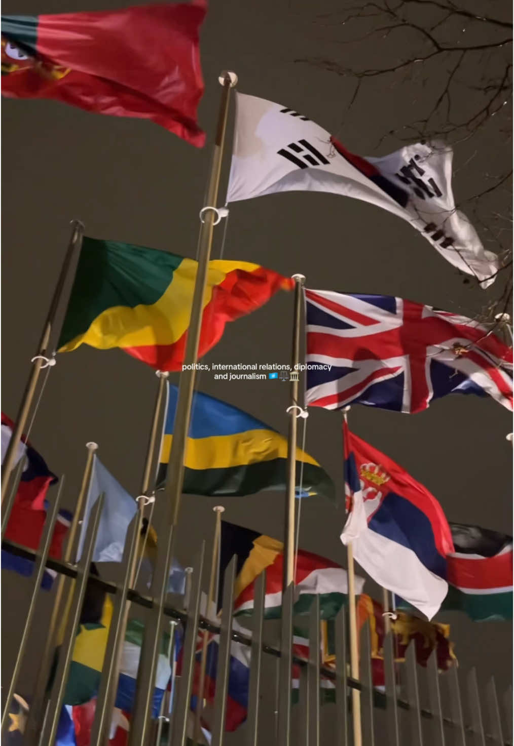 manifesting ! 🙏🏽 (but always with some fashion sense too lol) #politics #internationalrelations #diplomacy #unesco #onu #Vlog #internationallawcareer #journalism 